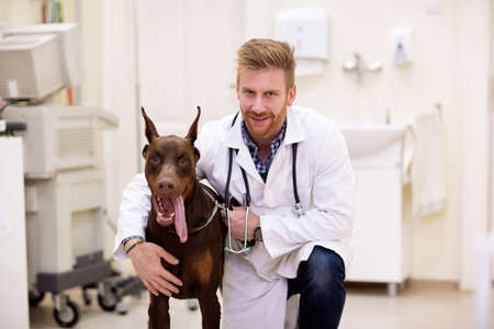 Smiling veterinarian with dog at pet clinic