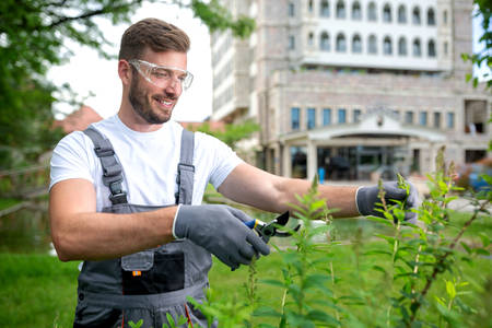 Hard working gardener keeping shrubs in order, gardening conceptの写真素材