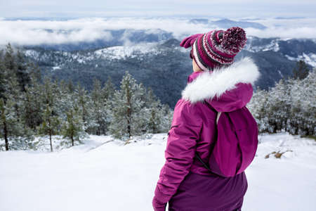 Young woman looking in distance as she stands on the mountain gladeの写真素材