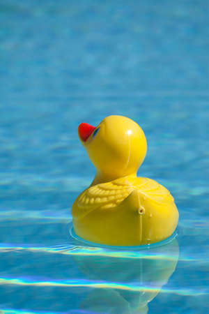 Yellow red rubber toy duckie in sunny blue swimming pool