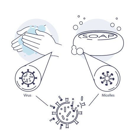Hand washing with soap. Micelles Hand wash infographics. Soap under the microscope. Personal Care. Combating the spread of coronavirusのイラスト素材