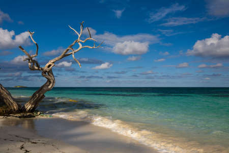 Beach of Antigua & Barbuda West Indiesの写真素材