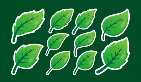Green Leaves design vector illustrationのイラスト素材