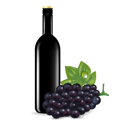 glass of wine and grape isolated on whiteのイラスト素材