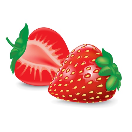 strawberry with halved fruit isolated on whiteのイラスト素材