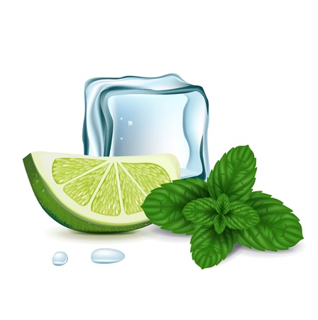 ice cube with lime slice and mint isolatedのイラスト素材