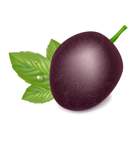 passion fruit with leaf isolated on whiteのイラスト素材