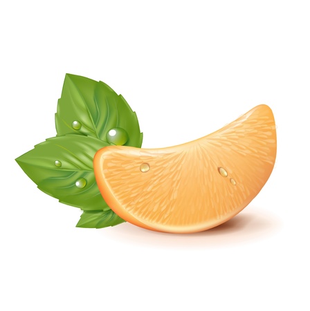 orange slice with leaves isolated on whiteのイラスト素材
