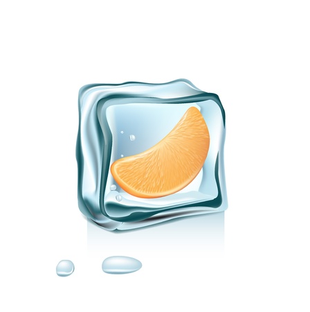 orange slice and ice cube isolated on whiteのイラスト素材