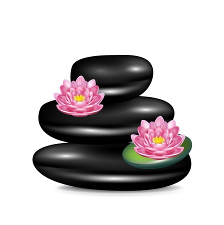 lotus flowers and relaxation spa stones isolatedのイラスト素材