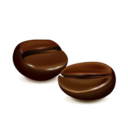 two coffee beans isolated on white backgroundのイラスト素材