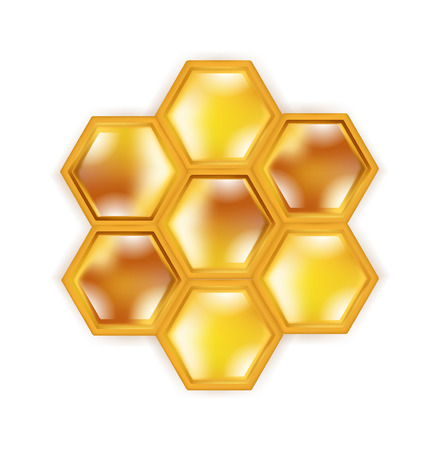 honeycomb isolated on white backgroundのイラスト素材