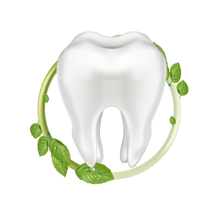 tooth in protective leaf circle isolated on white backgroundのイラスト素材