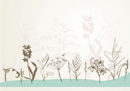 grass and flowers isolatedのイラスト素材