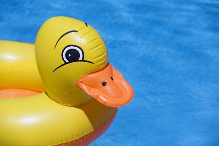 plastic duck floating in a swimming poolの写真素材