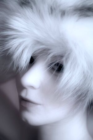 winter scene: young model posing in fur  の写真素材
