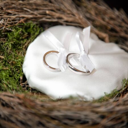 close up of wedding rings on a nestの写真素材