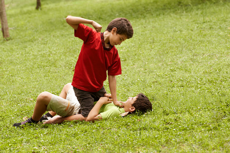Two young brothers fighting and hitting on grass in park, with older boy sitting over the youngerの写真素材