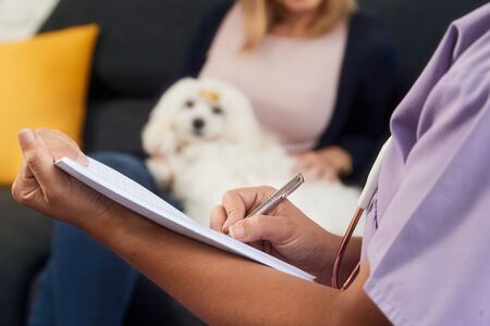 Vet Writing Health Care Note For Dog Prescription Medicineの写真素材