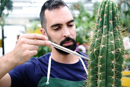 Expert Man At Work In Greenhouse With Cactusの写真素材