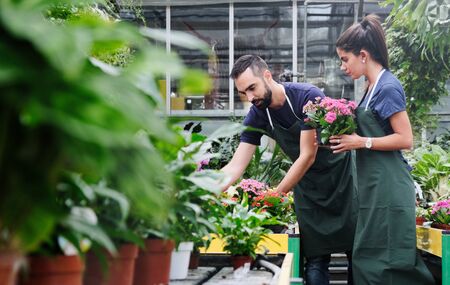 Teamwork With Happy Co-workers At Work In Florist Shopの写真素材