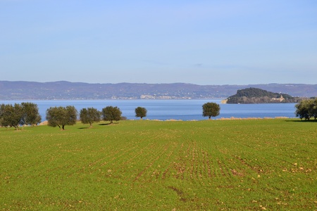 view of lake Bolsena Lazio Italyの写真素材