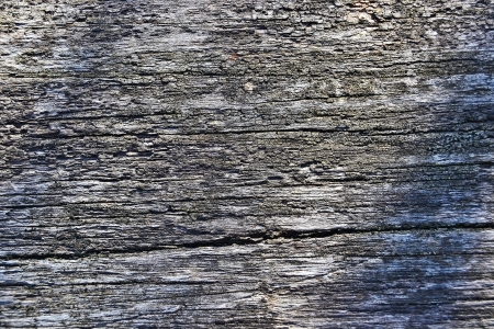 wood grain textureの写真素材
