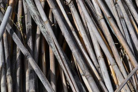 texture rodsの写真素材