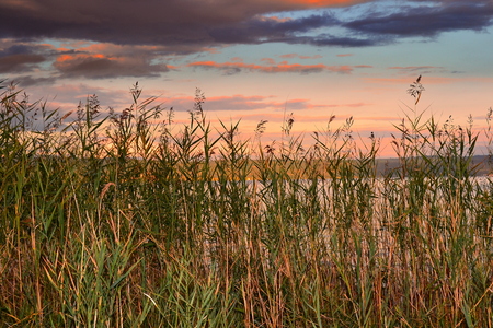 Bolsena lake at sunsetの写真素材