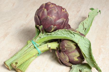 artichokes on a white backgroundの写真素材