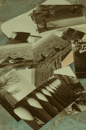 Collection of old analogue photographs in black and whiteの写真素材