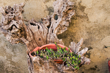 glimpse of the medieval historical center of Bolsena. One of the most beautiful tourist spots in Italy.の写真素材