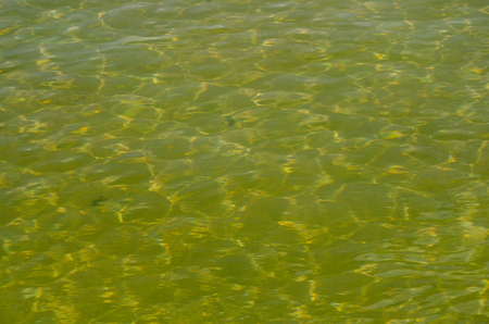 abstract background, the thermal waters of Bagno Vignoni's swimming pool, reflections of light.の写真素材