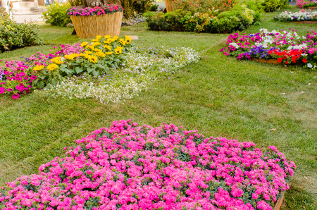 the staging of the San Pellegrino in fiore event in viterboの写真素材