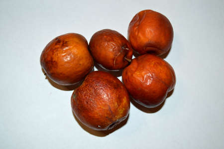 jujube fruitの写真素材