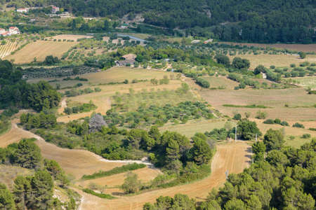 Forest landscapeの写真素材