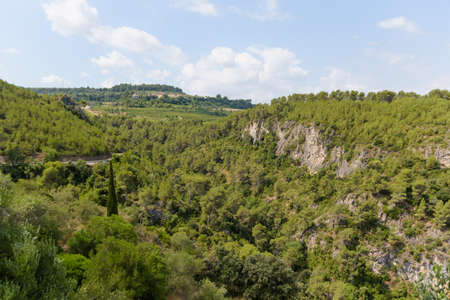 Forest landscapeの写真素材