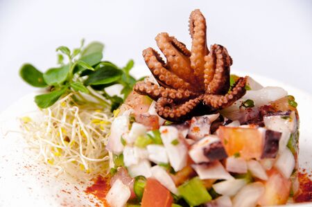 Squid dish on a white backgroundの写真素材