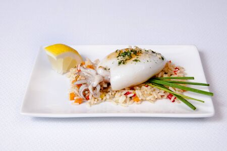 Squid dish on a white background