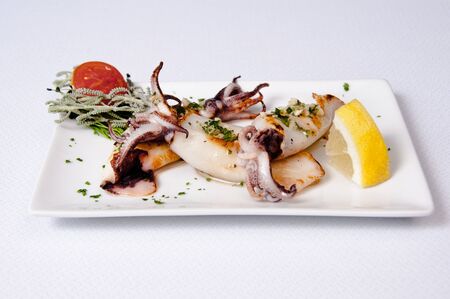 Squid dish on a white background