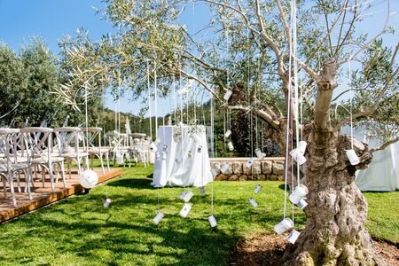 Decoration for a wedding with cans hanging on a treeの写真素材