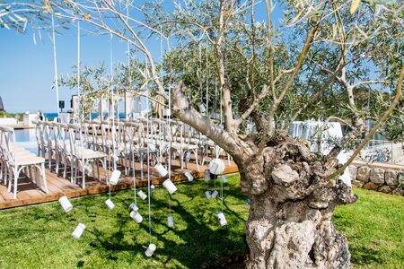 Decoration for a wedding with cans hanging on a treeの写真素材
