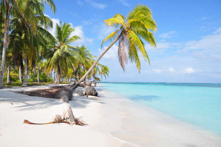 The most beautiful lonely beach in San Blas island,  Central America の写真素材