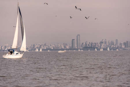 Buenos Aires river, sailing adventure. Unique trip.の写真素材