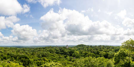 Panorama of Tikal National Park. Adeventure in Guatemala.の写真素材