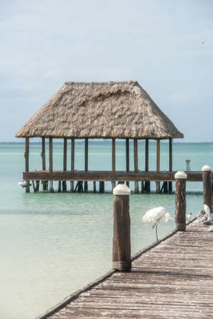 Beautiful sea colors, caribbean. Traveling through Mexico, Quintana Roo.の写真素材