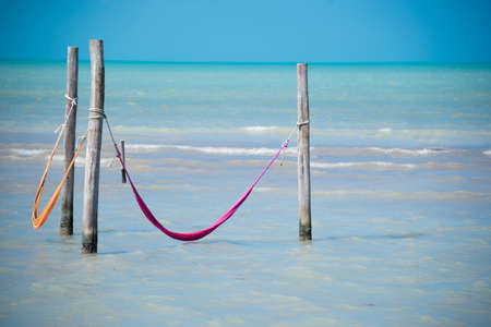 Tropical sea of Holbox island near Cancun. Traveling Quintana Roo.の写真素材