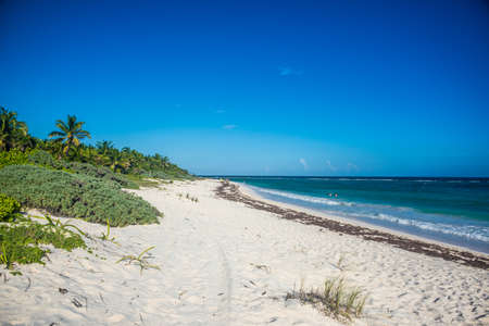 Perfect beach near Tulum, traveling through Quintana Roo. Caribbean paradise.の写真素材