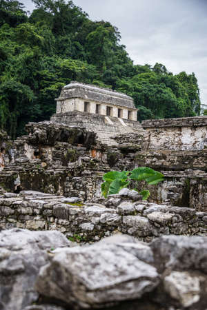 Panoramic View of Historic Mayan Site. Traveling Through Chiapas, Mexico.