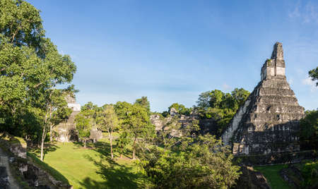 Panoramic view of Mayan historic building at Tikal Jungle. Guatemala.の写真素材